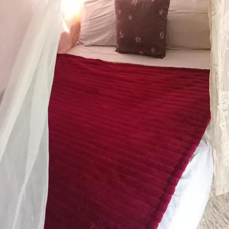 Tiny House Llttle Cabin